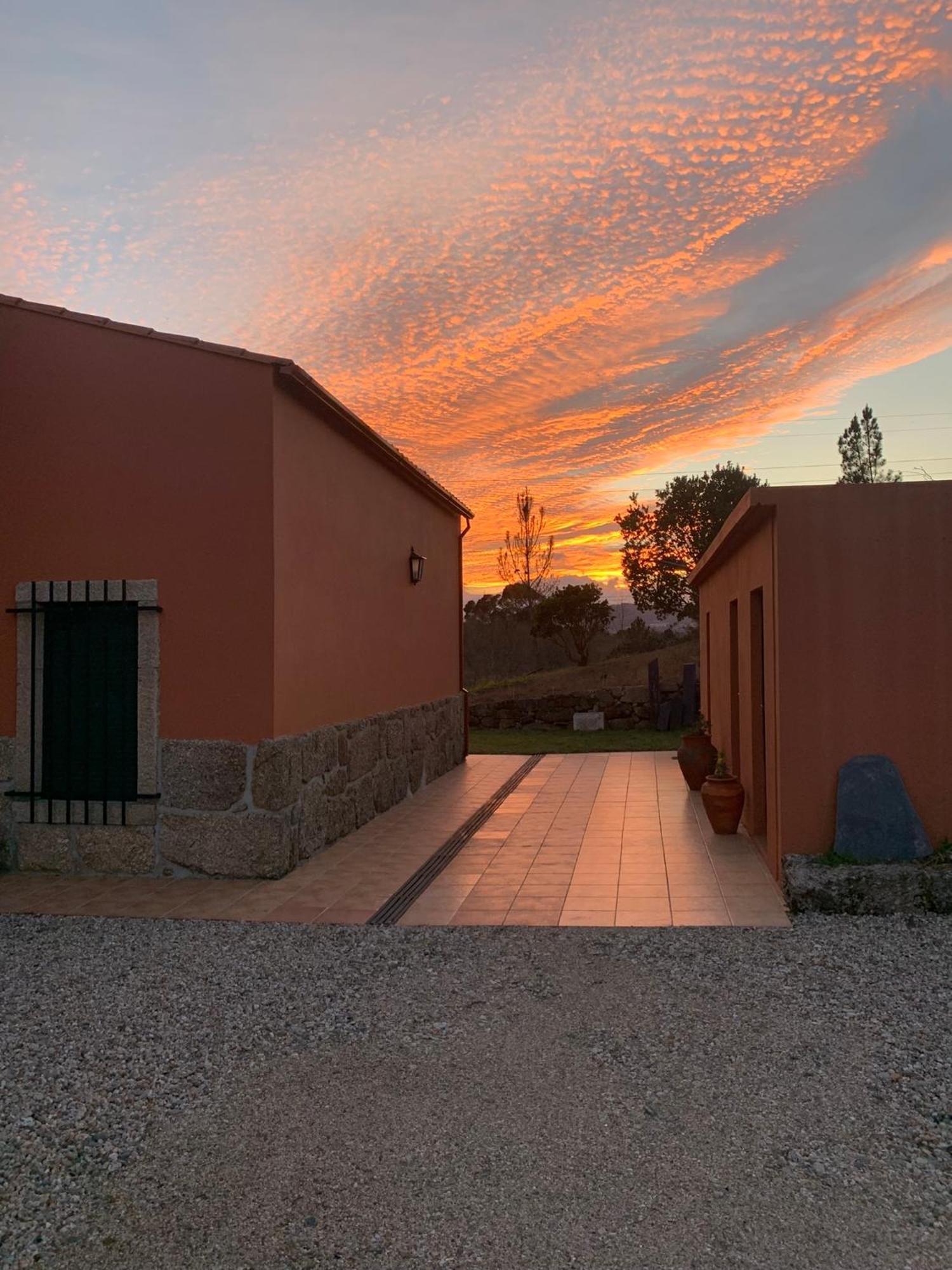 Quinta Dos Cedros L Turismo Rural โกวิลา ภายนอก รูปภาพ
